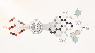CO₂ mit synthetischer Biologie in n&uuml;tzliche Chemikalien umwandeln