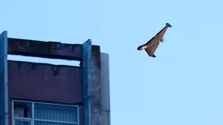 Russland meldet Abwehr von ukrainischen Drohnen auf dem Weg nach Moskau