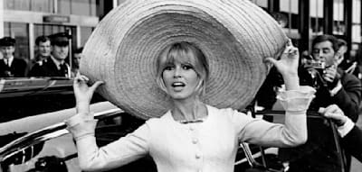 Das ungez&auml;hmte Leben