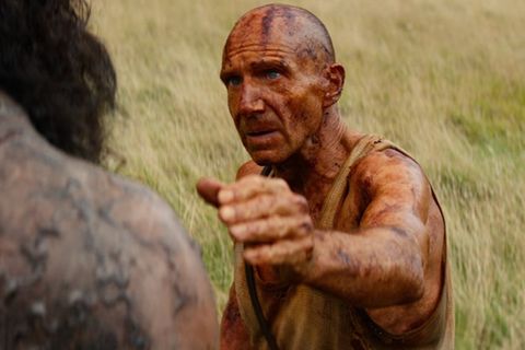 Junges Blut und ein alter Bekannter