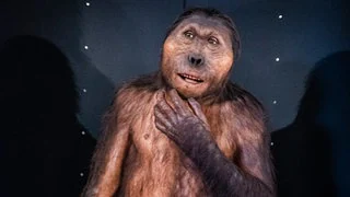 "Nussknacker-Mann" wagte sich bis in die Heimat von "Lucy"