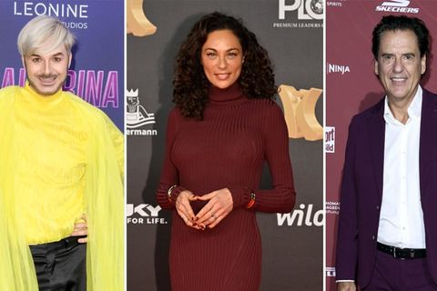 Was machen die Stars aus der letzten Dschungelcamp-Staffel?