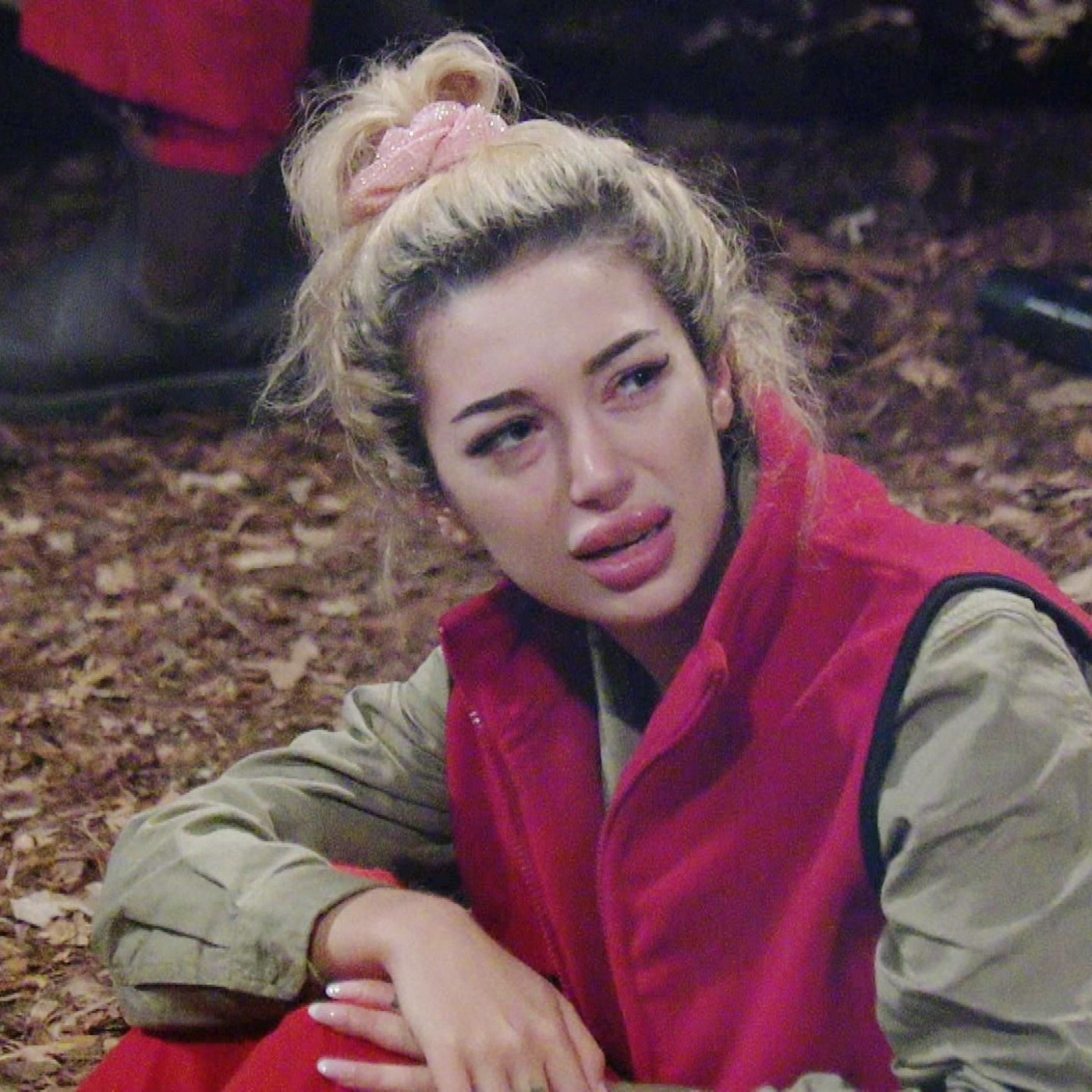 "Nein, die Erde ist flach!" - IQ-Hoch zur Dschungel-Halbzeit