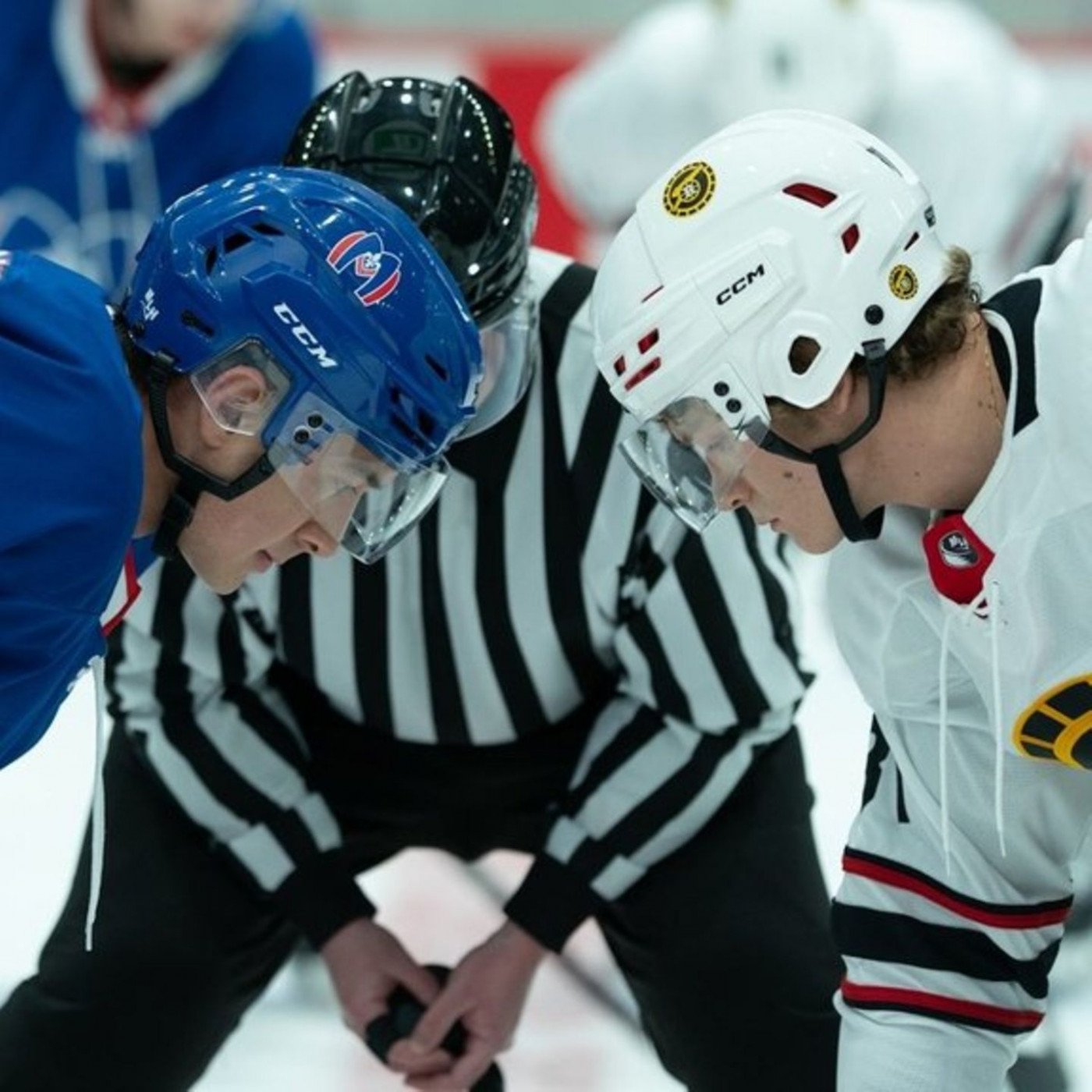 Das macht die Serien-Sensation so besonders