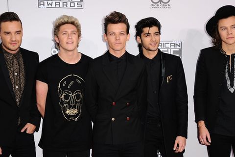 Ex-One-Direction-Stars stehen 2026 im Fokus