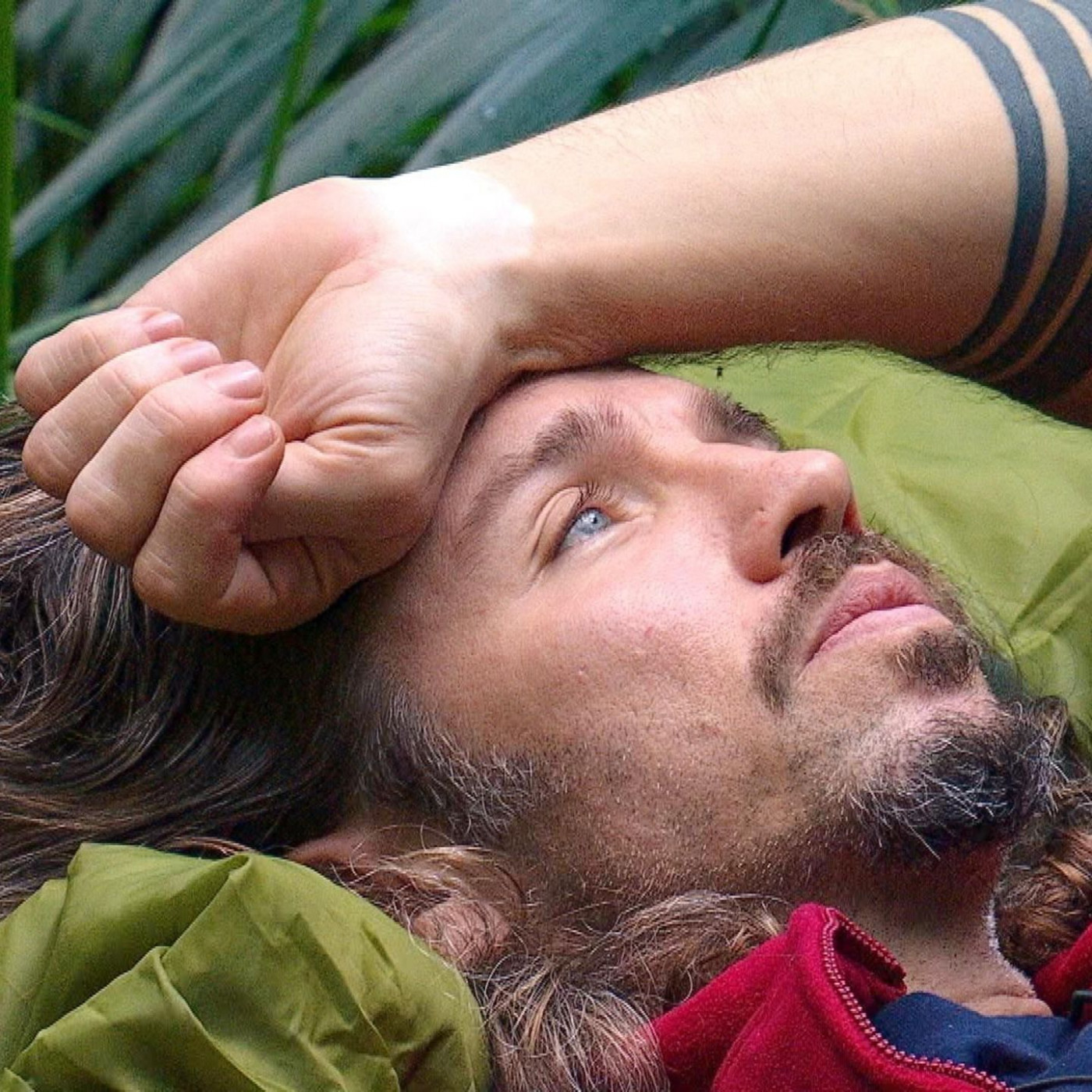 Das haben Gil Ofarims Anw&auml;lte ihm vor dem Dschungelcamp geraten