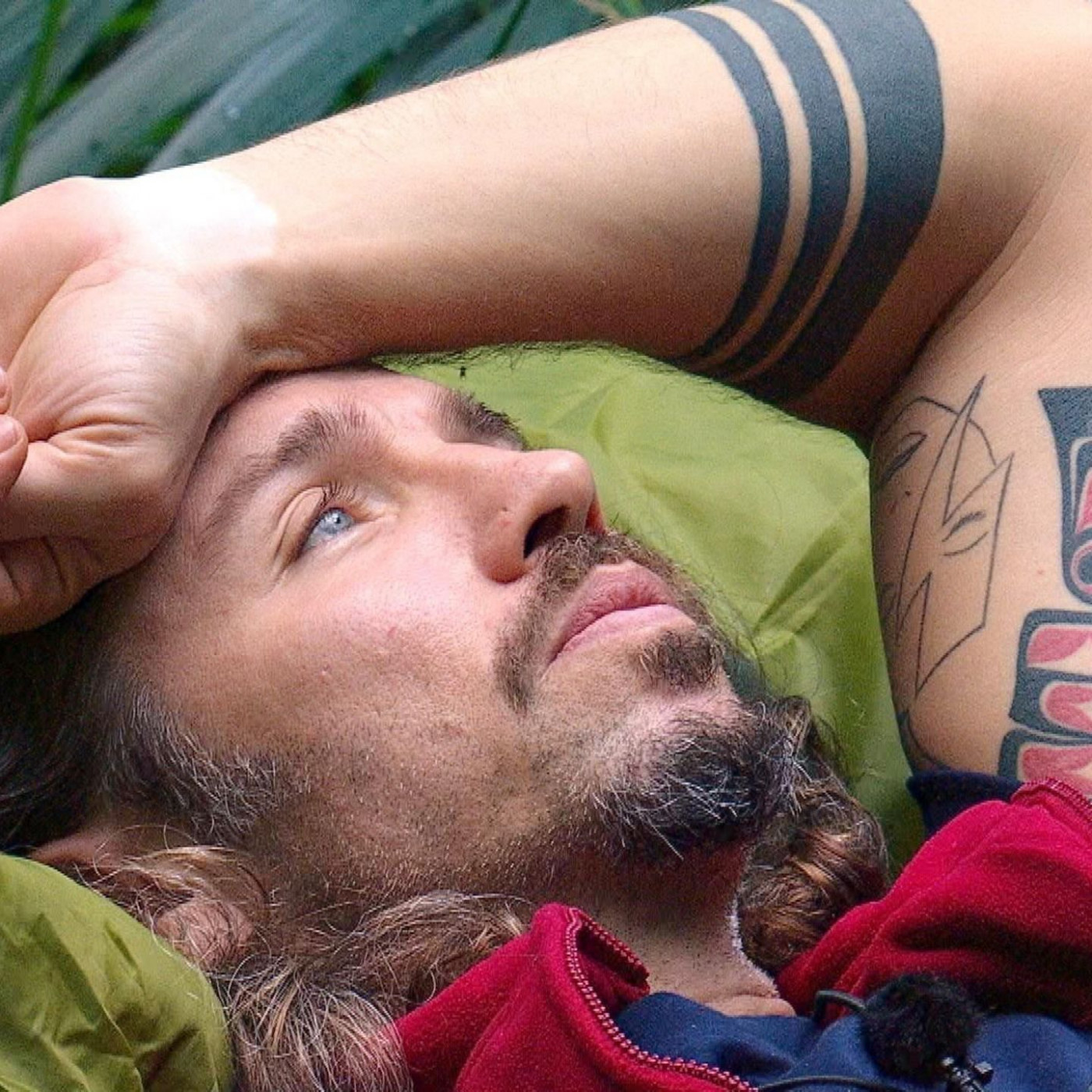 Wenn der Schweigefuchs spricht