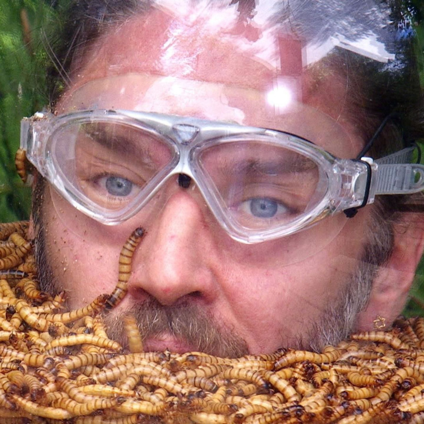 Gil st&uuml;rzt sich mit Mehlw&uuml;rmern im Helm auf die erste Aufgabe