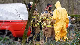 Vogelgrippe in Sachsen: Mehr als eine halbe Million Tiere verendet &ndash; Mei&szlig;en besonders betroffen